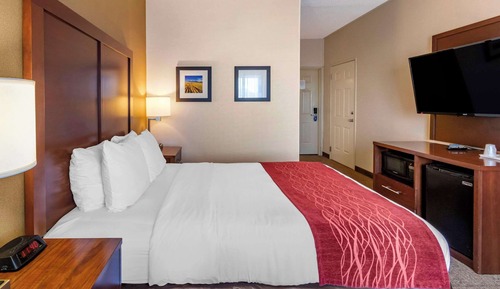 Standard Room, 1 Queen Bed, Non Smoking