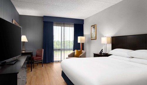 Room, 1 King Bed, Accessible, Non Smoking