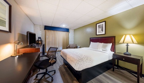 Room, 1 Queen Bed, Non Smoking