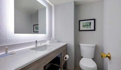 1 Bedroom Suite, 1 King Bed, Non Smoking