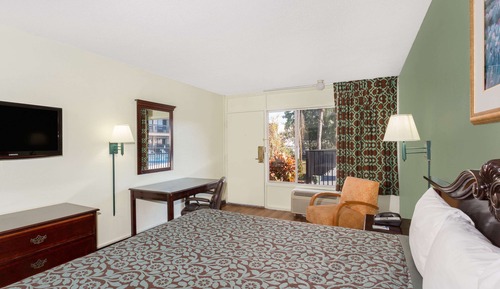Room, 1 King Bed, Non Smoking