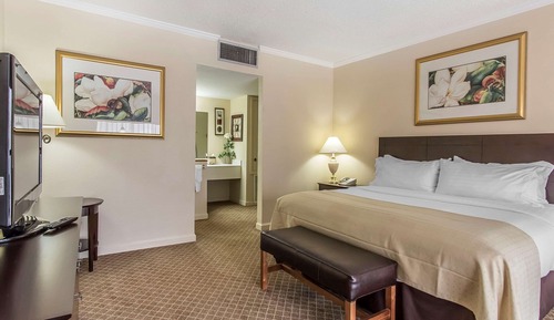 Suite, 1 King Bed, Non Smoking