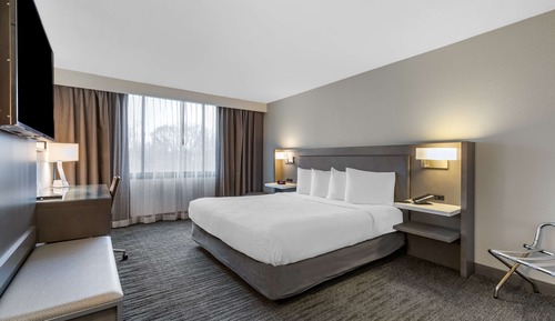Standard Room, 1 King Bed, Accessible, Non Smoking