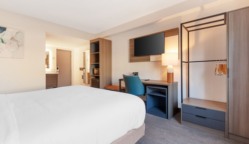 Room, 1 King Bed, Accessible, Non Smoking