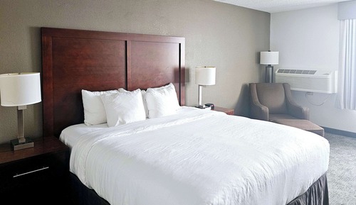 Room, 1 Queen Bed