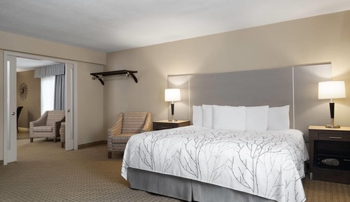 Luxury Suite, 1 Bedroom, Non Smoking
