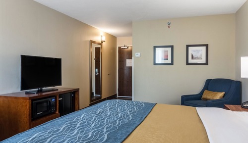 Standard Room, 1 King Bed, Non Smoking