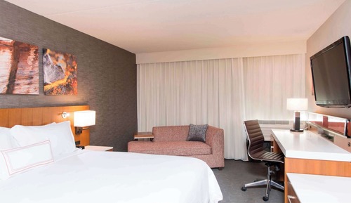 Business Suite, 1 King Bed