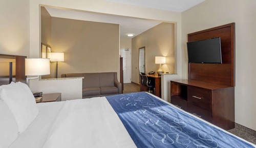 Suite, 1 King Bed with Sofa bed, Non Smoking
