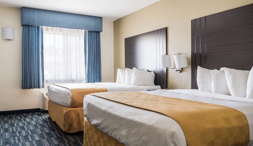 Standard Room, 2 Double Beds, Non Smoking, Refrigerator & Microwave