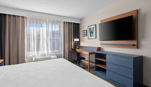 Room, 1 King Bed, Accessible, Non Smoking (Roll-in Shower)