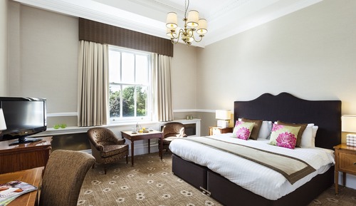 Executive Double or Twin Room