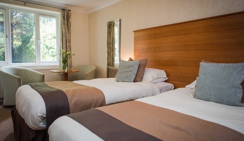 Standard Twin Room