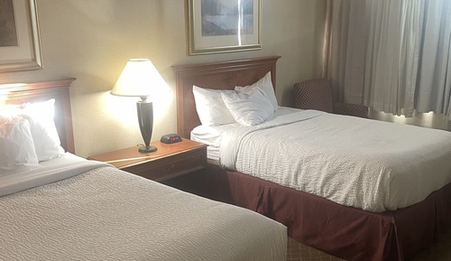 Superior Room, 2 Double Beds, Non Smoking, Pool View
