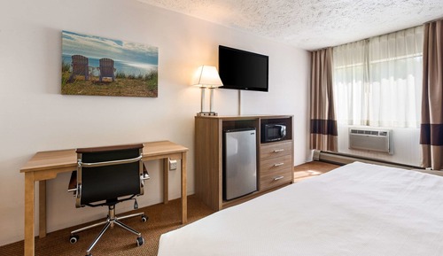 Standard Room, 1 King Bed, Non Smoking