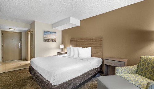 Standard Room, 1 King Bed, Non Smoking, Refrigerator