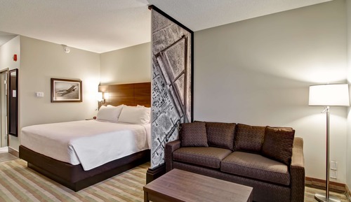 Suite, 1 King Bed, Non Smoking, Refrigerator & Microwave (with Sofabed)
