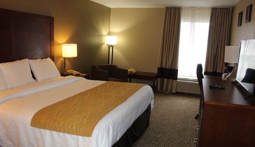premium king room