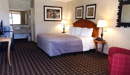 Room, 1 King Bed, Smoking