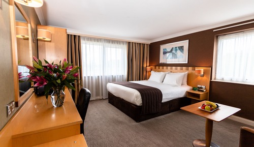 Premium Room, 1 Double Bed