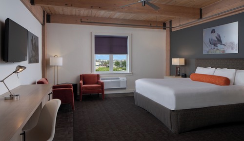 Room, 1 King Bed, Non Smoking
