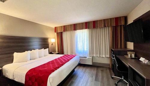 Business Room, 1 King Bed, Non Smoking (One-Bedroom)