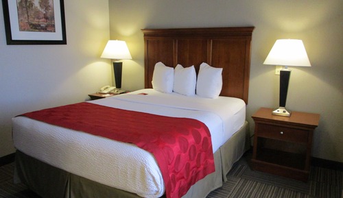Room, 1 Queen Bed, Accessible, Non Smoking