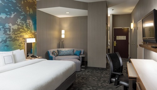 Room, 1 King Bed with Sofa bed, Non Smoking (Mobility Accessible, Roll-in Shower)