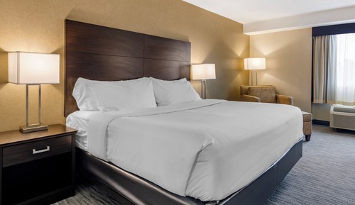 Basic Single Room, 1 King Bed, Roll-in Shower