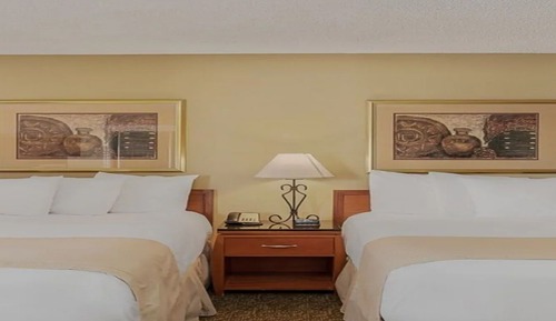 Studio Suite, 2 Double Beds, Kitchen