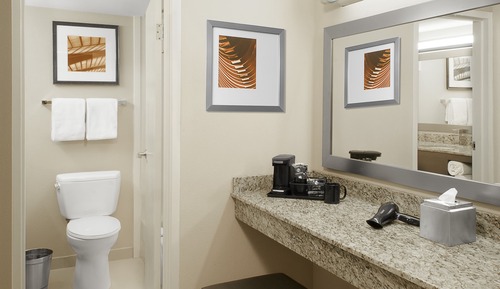 Standard Room, 1 King Bed, Mobility Accessible (Transfer Shower)