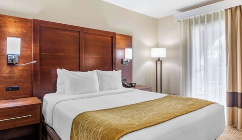 Room, 1 Queen Bed, Non Smoking