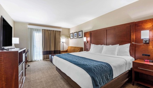 Standard Room, 1 King Bed with Sofa bed, Accessible, Non Smoking (Roll-In Shower)