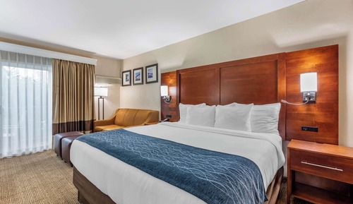 Deluxe Room, 1 King Bed with Sofa bed, Non Smoking, Hot Tub