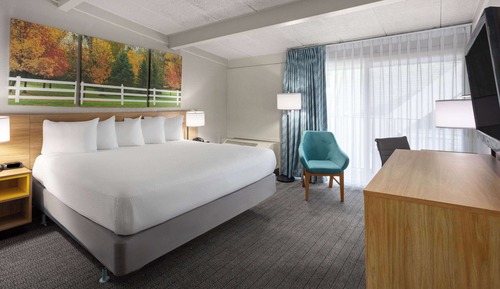 Room, 1 King Bed, Accessible