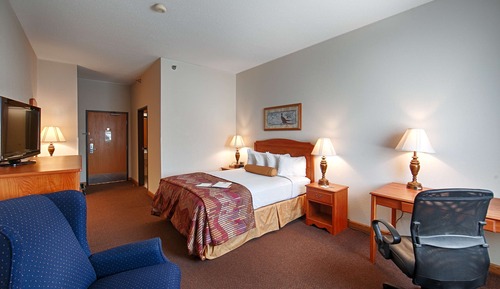 Standard Room, 1 Queen Bed, Accessible, Non Smoking