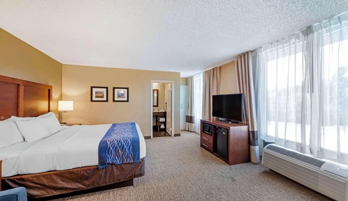 Standard Room, 1 King Bed, Non Smoking