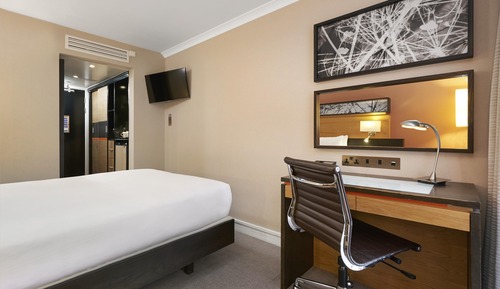 Room, 1 Twin Bed