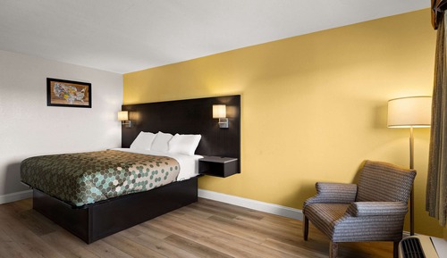 Standard Room, 1 King Bed, Non Smoking