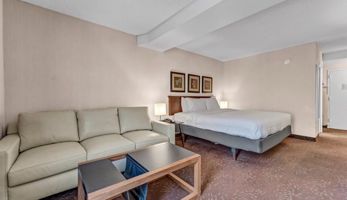 Standard Room, 1 King Bed with Sofa bed