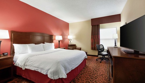 Room, 1 King Bed, Accessible, Non Smoking
