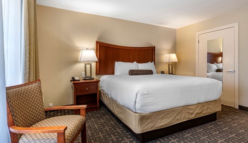 Standard Room, 1 King Bed, Non Smoking, Refrigerator & Microwave