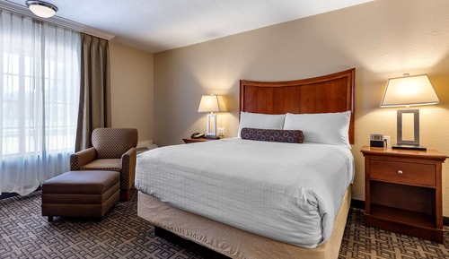 Standard Room, 1 Queen Bed, Non Smoking, Refrigerator & Microwave