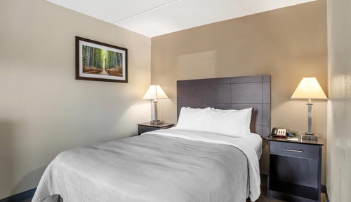Suite, 1 King Bed with Sofa bed, Non Smoking (Efficiency, Upgrade)