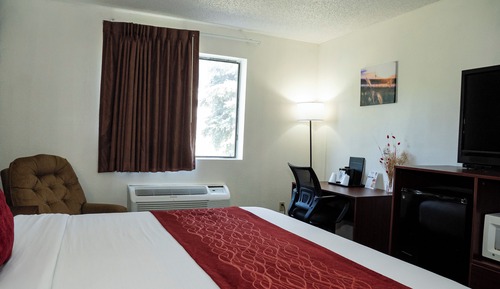 Comfort Single Room, 1 King Bed, Accessible, Non Smoking (42 inch TV)