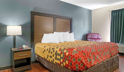 Standard Room, 1 King Bed, Non Smoking