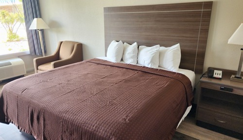 Room, 1 King Bed, Non Smoking