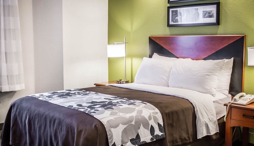 Room, 1 Double Bed, Non Smoking