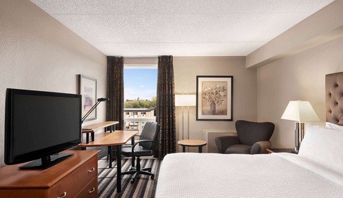 Room, 1 King Bed, Non Smoking (No pet friendly)