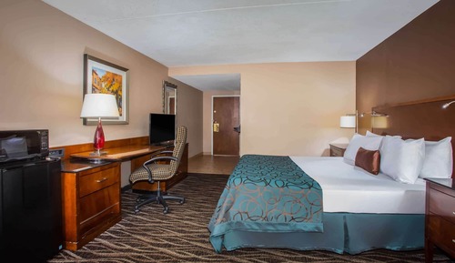 Standard Room, 1 King Bed, Non Smoking